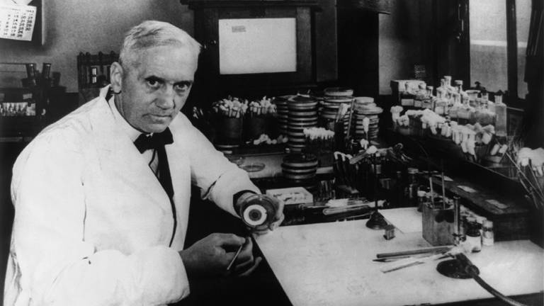 Alexander Fleming in seinem Labor mit Petrischalen (Foto: IMAGO, Everett Collection)