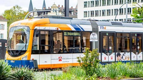 Das Bild zeigt eine Heidelberger Straßenbahn. (Foto: IMAGO, Manngold)