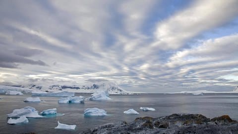 Das Bild zeigt die Eisberge um die Insel Cuverville in der Antarktis, Symbolbild.