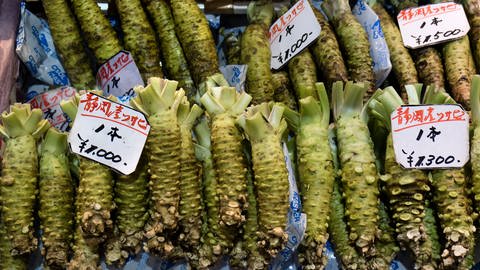 Das Bild zeigt frische grüne Wasabi-Wurzeln auf einem Markt. Symbolbild. (Foto: IMAGO, agefotostock)