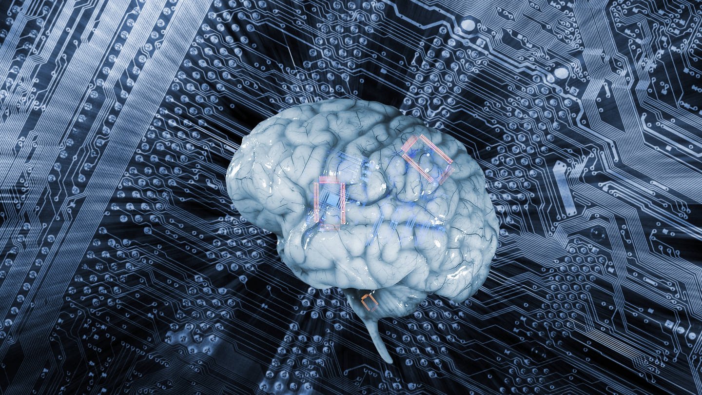 KI und Gehirn: Nervenzellen aus menschlichen Gehirngewebe erkennt Sprache und löst Gleichungen. (Foto: IMAGO, IMAGO / Science Photo Library)
