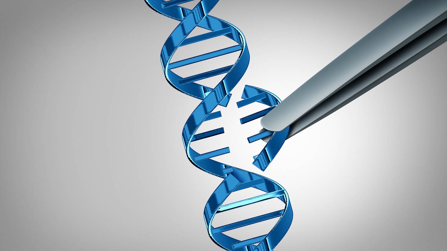 Pinzette stellt Genschere CRISPR/Cas dar und entnimmt Teil der DNA. Mit CRISPR sind viele Hoffnungen auf eine Therapie verbunden. (Foto: IMAGO, IMAGO / agefotostock)