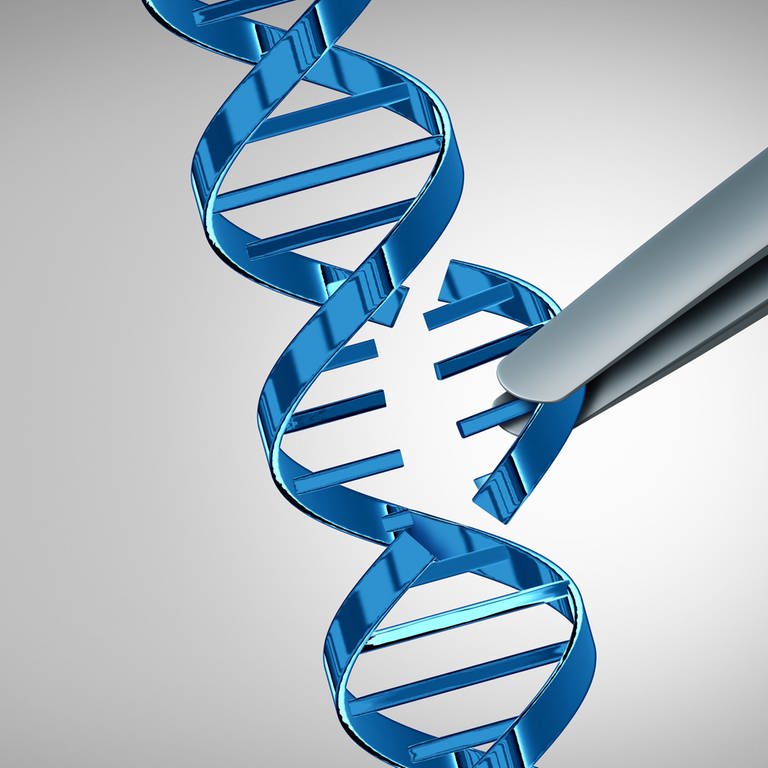 Pinzette stellt Genschere CRISPRCas dar und entnimmt Teil der DNA. Mit CRISPR sind viele Hoffnungen auf eine Therapie verbunden. (Foto: IMAGO, IMAGO / agefotostock)