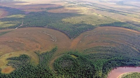 Luftaufnahme des Geländes: Auf einem Vorsprung in der westsibirischen Taiga waren einst die steinzeitlichen Siedlungen Amnya I und Amnya II. (Foto: Henny Piezonka)