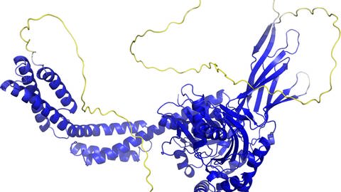 Rückgrat einer Proteinstruktur ist dargestellt.