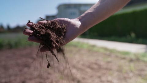 Eine Hand hält landwirtschaftlichen Boden - Guter Ackerboden baut sich über Jahrtausende auf und ist die Grundlage unserer Existenz. (Foto: SWR)