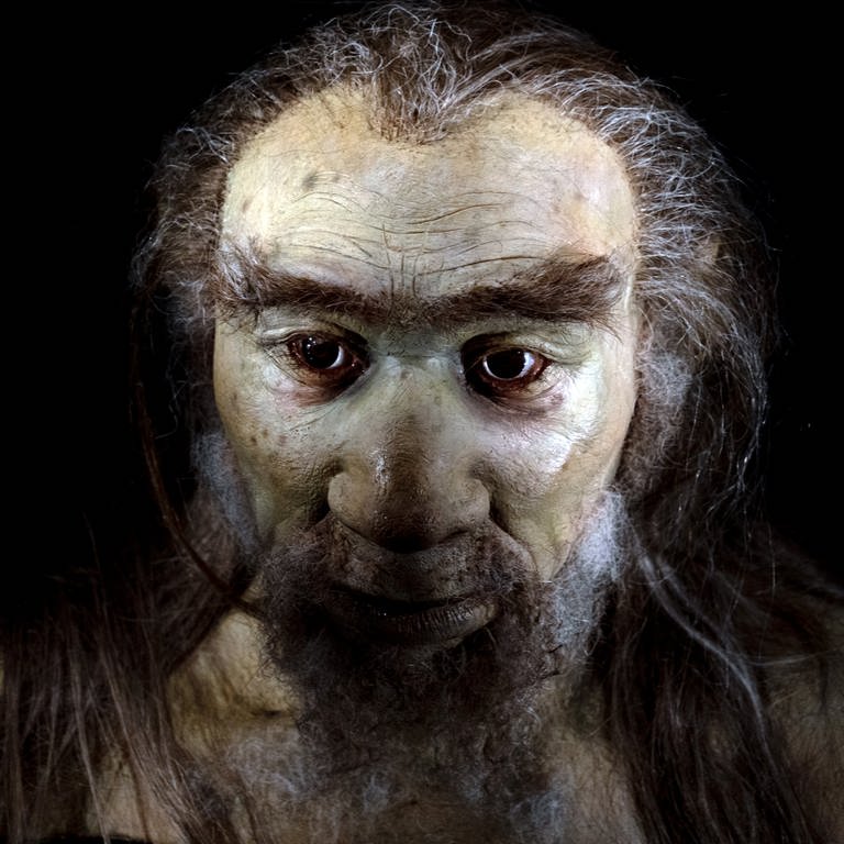 Ältestes Menschenfossil Europas: Archäologen haben rund 45.000 Jahre alte Knochen des modernen Menschen, des homo sapiens, in Deutschland gefunden. Rekonstruktion eines Homo sapiens. (Foto: IMAGO, IMAGO / Pond5 Images)