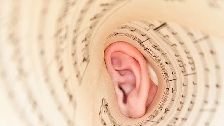 Ohr und darum Notenblätter, tags: Absolutes Gehör, Musikalität