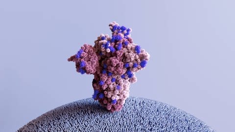 Illustration Spike Protein eines Coronavirus, tags: Impfen, Corona-Pandemie, Impfstoff