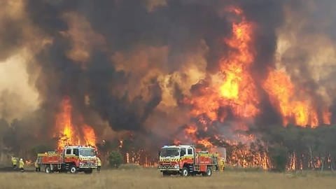 Buschbrände in Australien (Foto: picture-alliance / Reportdienste, picture alliance/Twitter@NSWRFS/AP/dpa)