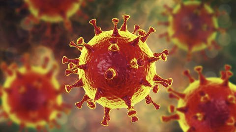 Coronaviren können bei Menschen Erkältungen auslösen. Das neue Coronavirus kann in schwren Fällen auch zu einer Lungenentzündung führen. (Foto: IMAGO, imago images / Science Photo Library)