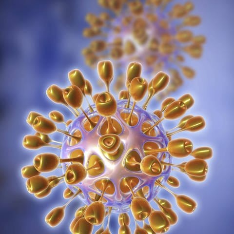 Coronavirus (Foto: IMAGO, imago)