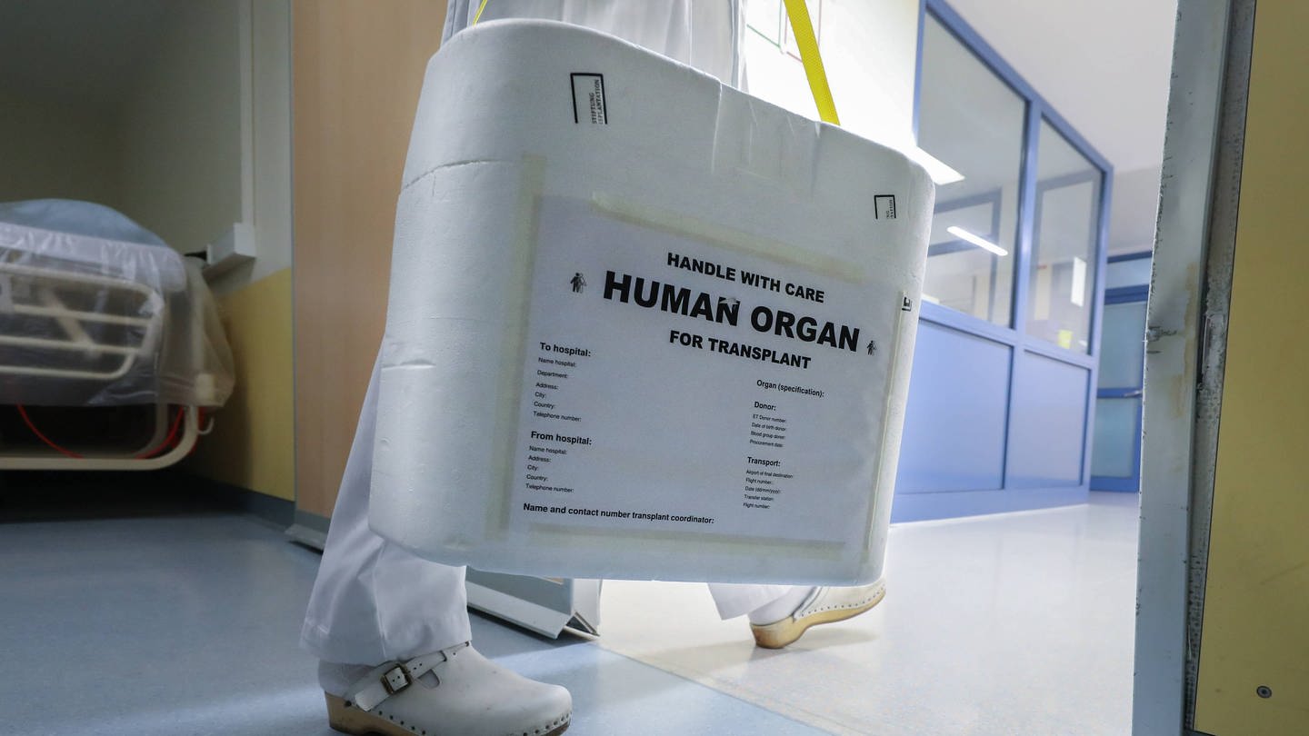 Medizinisches Personal trägt eine Box mit Spende-Organ. (Foto: IMAGO, IMAGO / localpic)