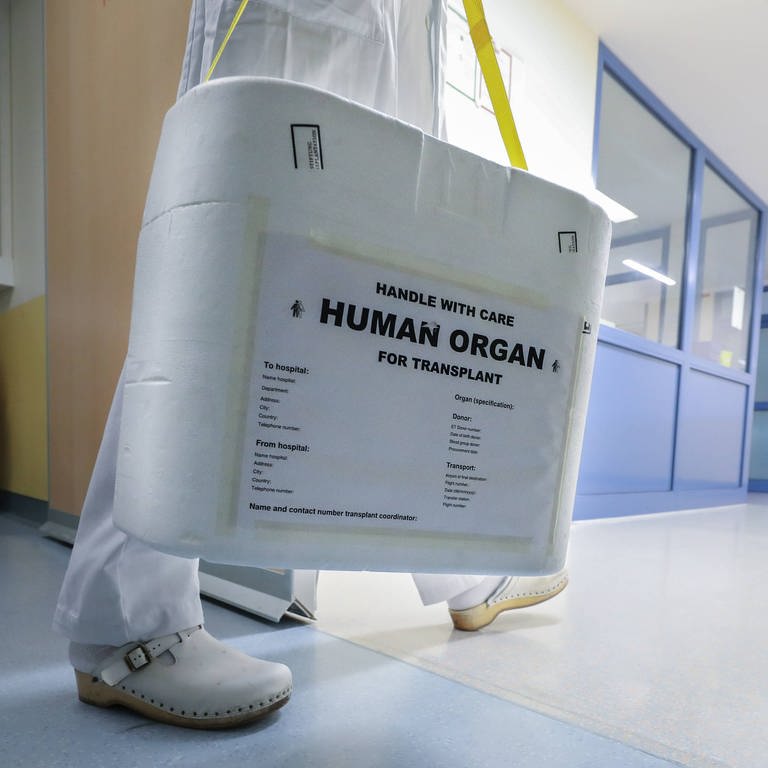 Medizinisches Personal trägt eine Box mit Spende-Organ.