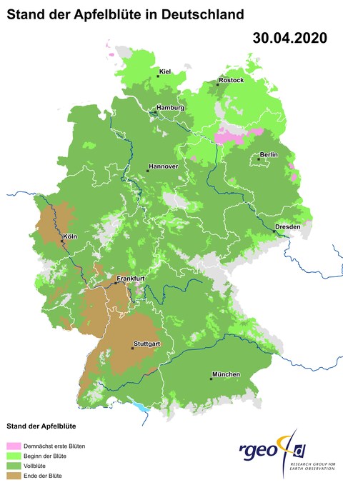 Landkarte der Ausbreitung der Apfelblüte in Deutschland am 30. April 2020 (Foto: SWR)