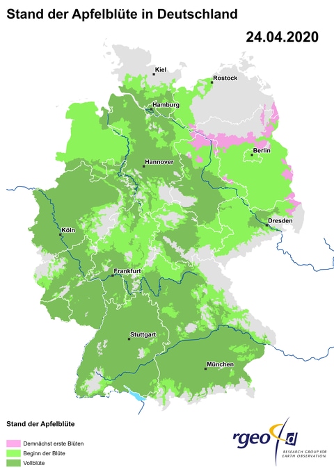 Landkarte der Ausbreitung der Apfelblüte in Deutschland am 24. April 2020 (Foto: SWR)
