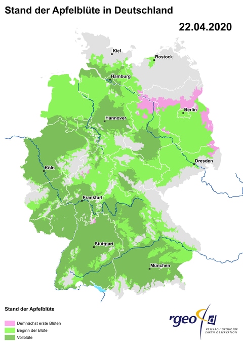 Landkarte der Ausbreitung der Apfelblüte in Deutschland am 22. April 2020 (Foto: SWR)