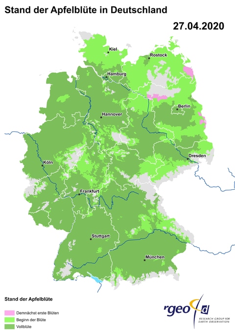 Landkarte der Ausbreitung der Apfelblüte in Deutschland am 27. April 2020 (Foto: SWR)