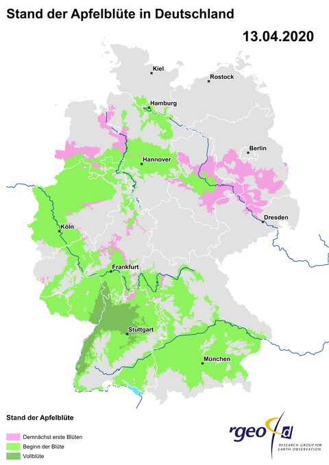 Landkarte der Ausbreitung der Apfelblüte in Deutschland am 13. April 2020 (Foto: SWR)