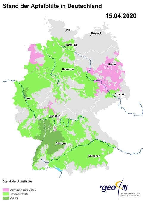 Landkarte der Ausbreitung der Apfelblüte in Deutschland am 15. April 2020 (Foto: SWR)