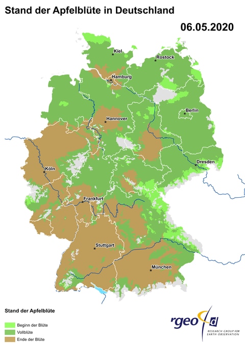 Landkarte der Ausbreitung der Apfelblüte in Deutschland am 6. Mai 2020 (Foto: SWR)