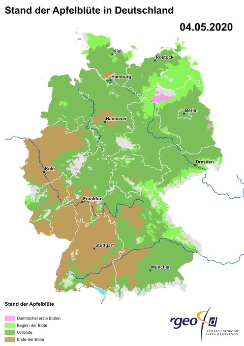 Landkarte der Ausbreitung der Apfelblüte in Deutschland am 4. Mai 2020 (Foto: SWR)