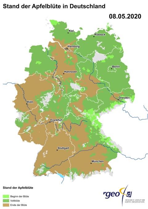 Landkarte der Ausbreitung der Apfelblüte in Deutschland am 8. Mai 2020 (Foto: SWR)