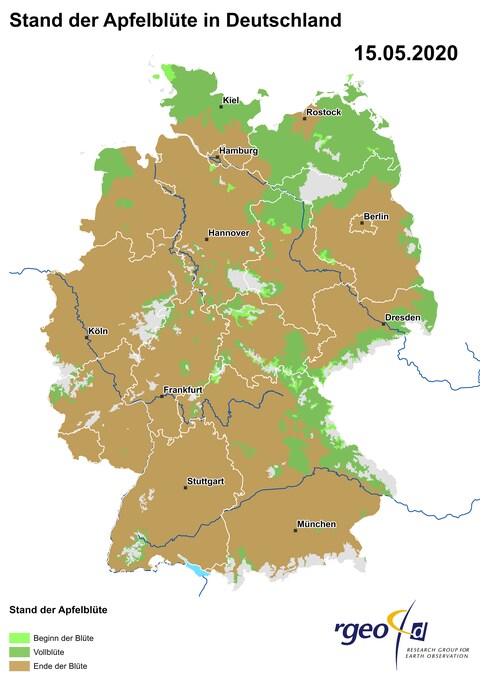 Landkarte der Ausbreitung der Apfelblüte in Deutschland am 15. Mai 2020 (Foto: SWR)