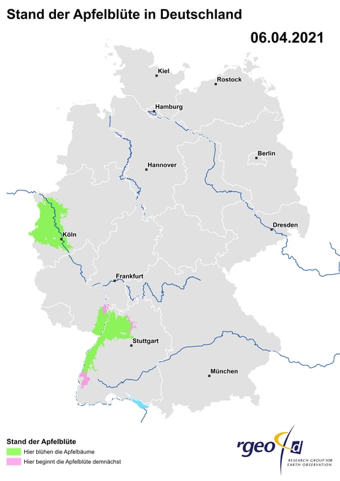 Landkarte zur Ausbreitung der Apfelblüte in Deutschland am 6. April 2021. Als blühend markiert sind Oberrheintal und Niederrhein. (Foto: SWR)