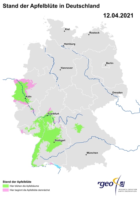 Landkarte der Ausbreitung der Apfelblüte in Deutschland am 12. April 2021 (Foto: SWR)