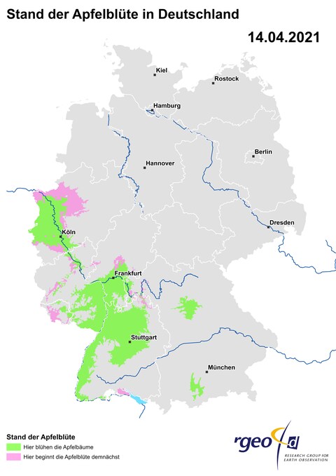 Ausbreitung der Apfelblüte in Deutschland am 14. April 2021. (Foto: SWR)