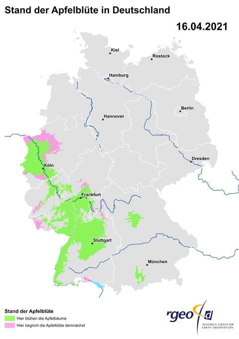 Ausbreitung der Apfelblüte in Deutschland am 16. April 2021 (Foto: SWR)