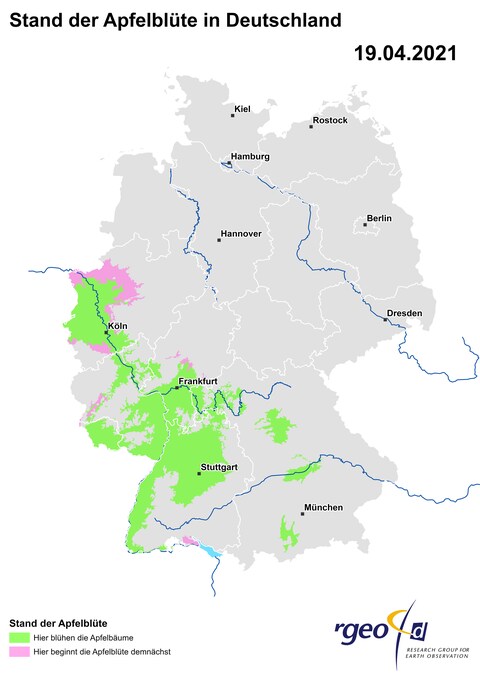 Ausbreitung der Apfelblüte in Deutschland am 19. April 2021 (Foto: SWR)