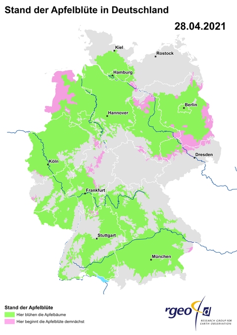 Landkarte der Ausbreitung der Apfelblüte in Deutschland am 28. April 2021 (Foto: SWR)
