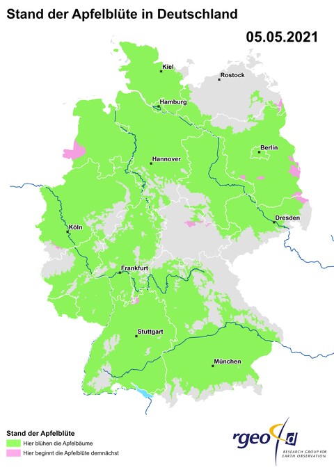Landkarte der Ausbreitung der Apfelblüte in Deutschland am 6. Mai 2021 (Foto: SWR)