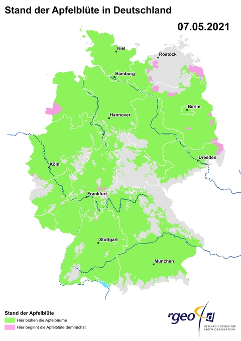 Landkarte der Ausbreitung der Apfelblüte in Deutschland am 7. Mai 2021 (Foto: SWR)