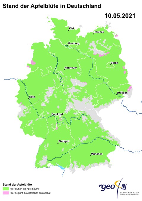 Landkarte der Ausbreitung der Apfelblüte in Deutschland am 10. Mai 2021 (Foto: SWR)