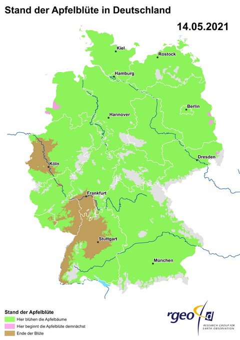 Landkarte der Ausbreitung der Apfelblüte in Deutschland am 14. Mai 2021 (Foto: SWR)