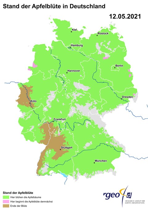 Landkarte der Ausbreitung der Apfelblüte in Deutschland am 12. Mai 2021 (Foto: SWR)