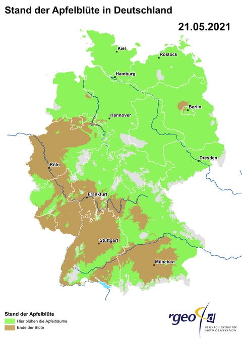 Landkarte der Ausbreitung der Apfelblüte in Deutschland am 21. Mai 2021 (Foto: SWR)