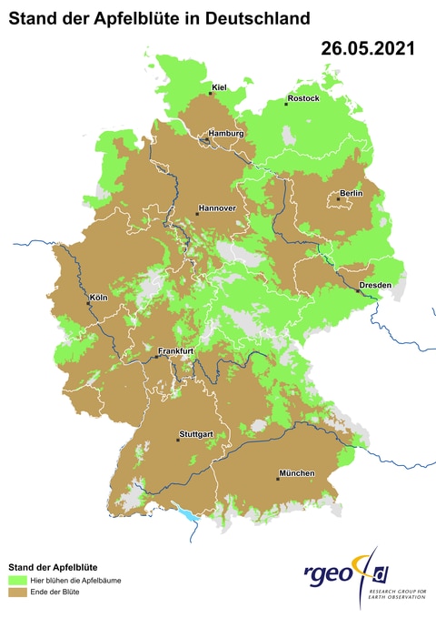 Landkarte der Ausbreitung der Apfelblüte in Deutschland am 26. Mai 2021 (Foto: SWR)