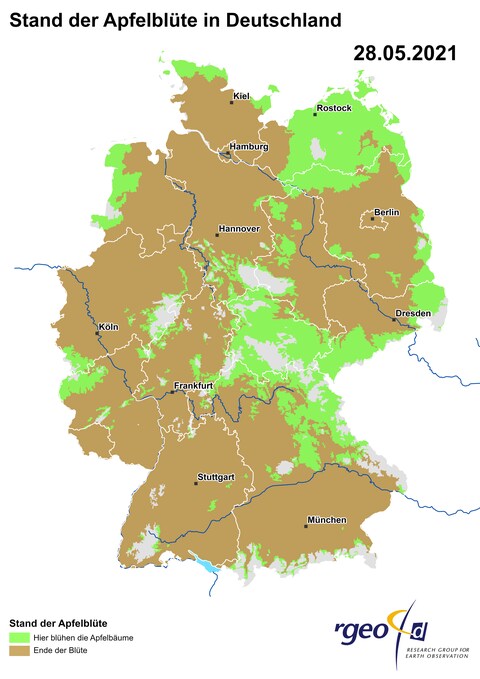 Landkarte der Ausbreitung der Apfelblüte in Deutschland am 28. Mai 2021 (Foto: SWR)