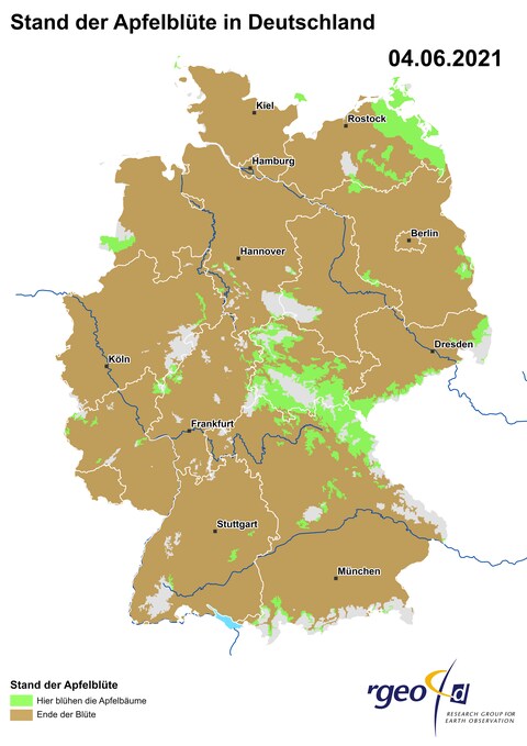 Landkarte der Ausbreitung der Apfelblüte in Deutschland am 4. Juni 2021 (Foto: SWR)