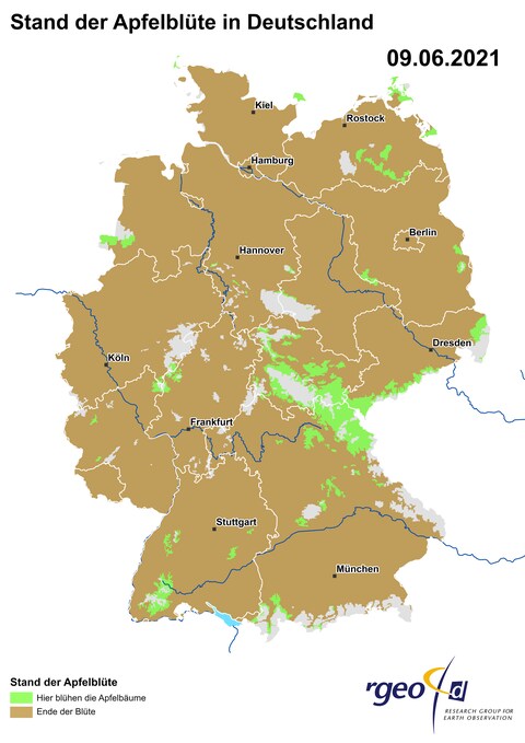 Landkarte der Ausbreitung der Apfelbluete in Deutschland am 9. Juni 2021 (Foto: SWR)