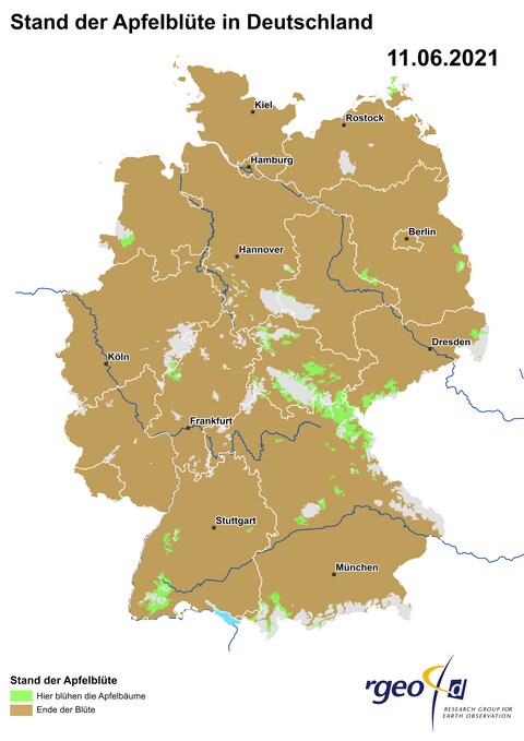 Landkarte der Ausbreitung der Apfelblüte in Deutschland am 11. Juni 2021 (Foto: SWR)