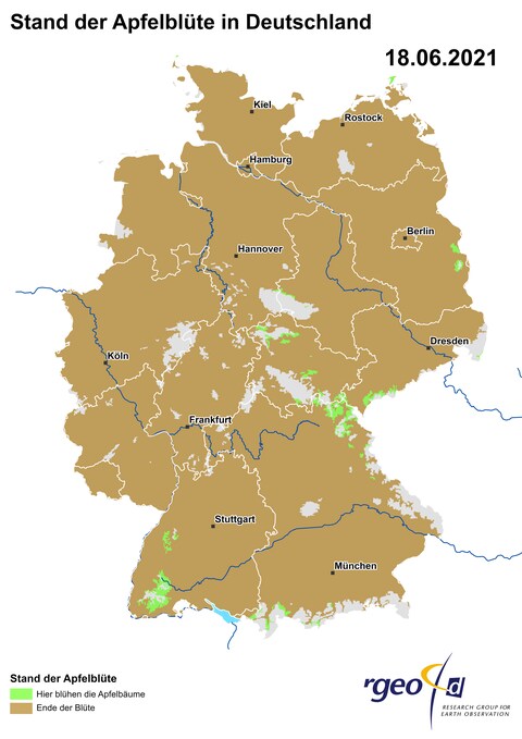 Landkarte der Ausbreitung der Apfelblüte in Deutschland am 18. Juni 2021 (Foto: SWR)