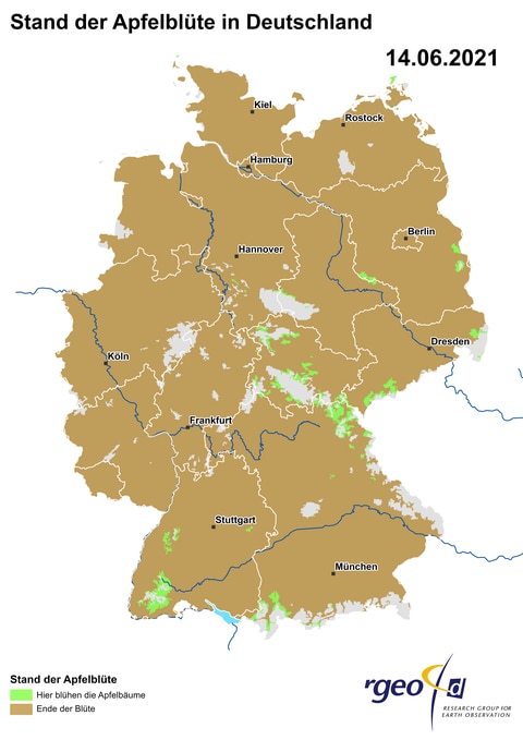 Landkarte der Ausbreitung der Apfelblüte in Deutschland am 14. Juni 2021 (Foto: SWR)