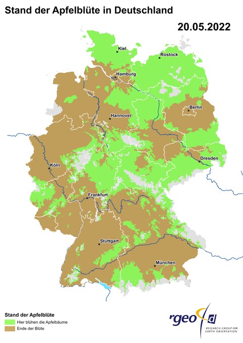 Die aus den Daten der Teilnehmer berechnete Landkarte der Ausbreitung der Apfelblüte in Deutschland am 20. Mai 2022 (Foto: SWR)