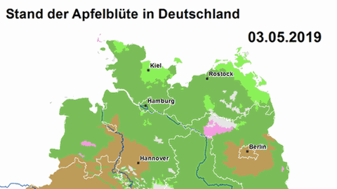 Apfelblütenlandkarte 3. Mai (Foto: SWR, SWR -)