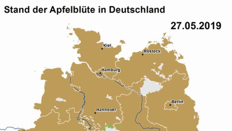 Apfelblütenlandkarte 27. Mai